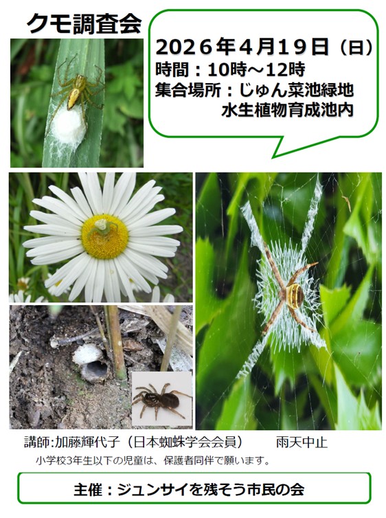 クモ調査会20251019ジュンサイを残そう市民の会