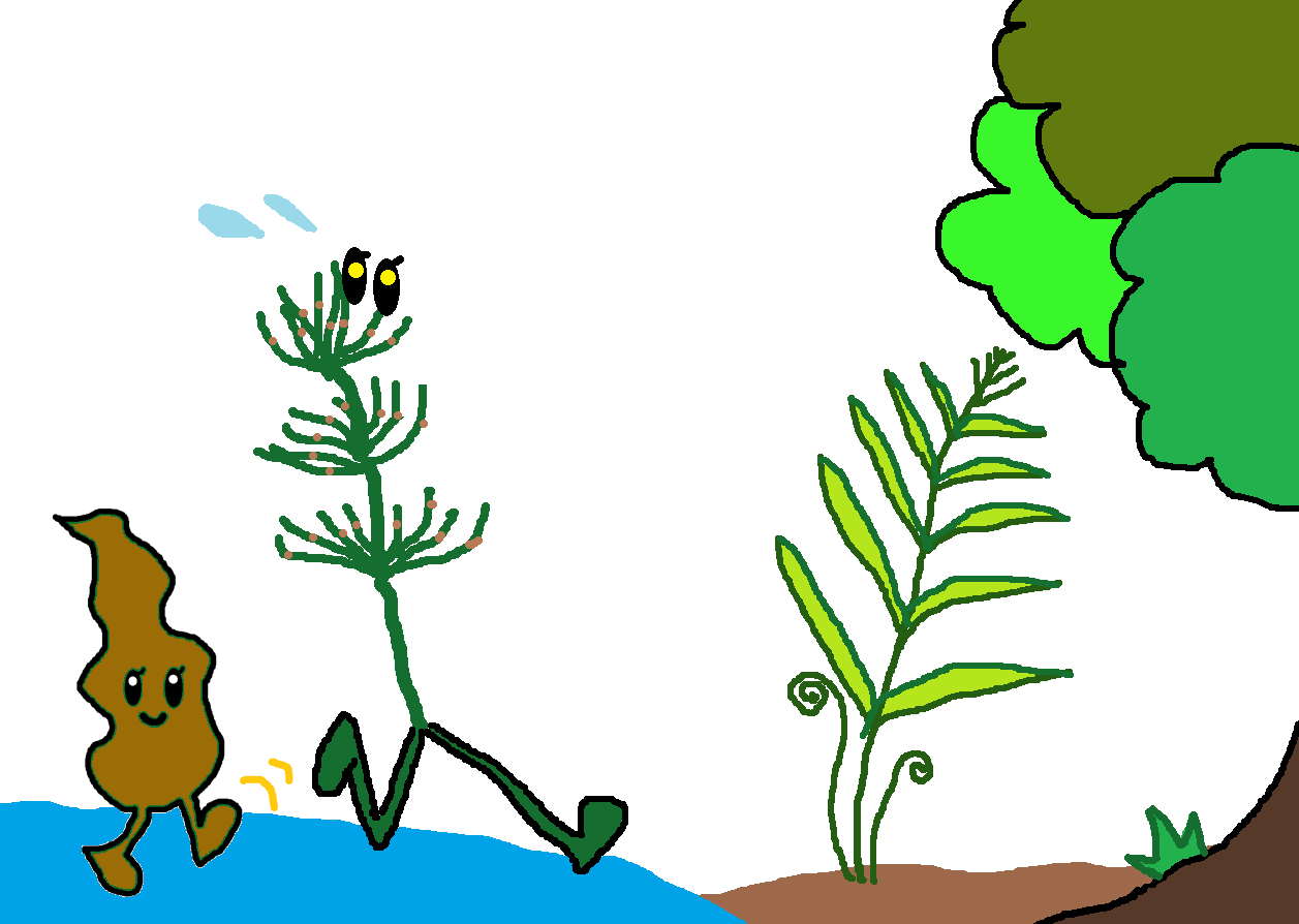 wakame