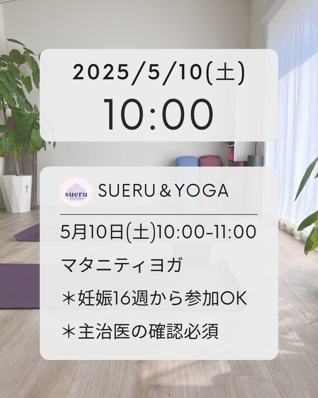 20241012